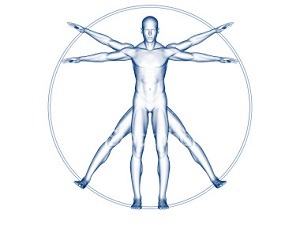 vitruvian-man